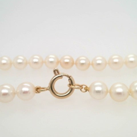 14 Karat Yellow Gold 6.5 Mm Near Round Cream Cultured Akoya Pearl Necklace, 18"