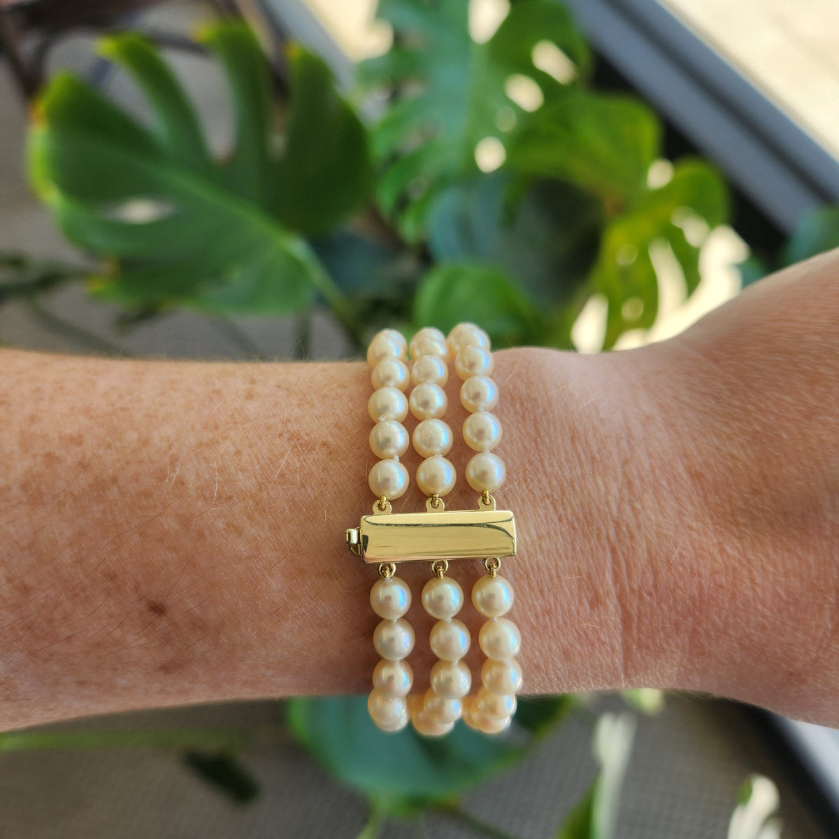 14 Karat Yellow Gold Triple Strand Akoya Cultured Pearl Bracelet, 7"