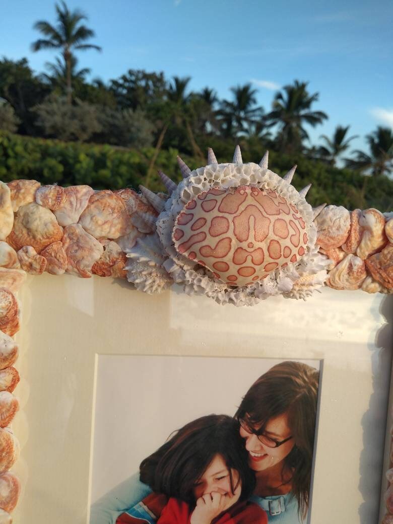 Grotto Style Seashell Encrusted Photo Frame 8 x 10