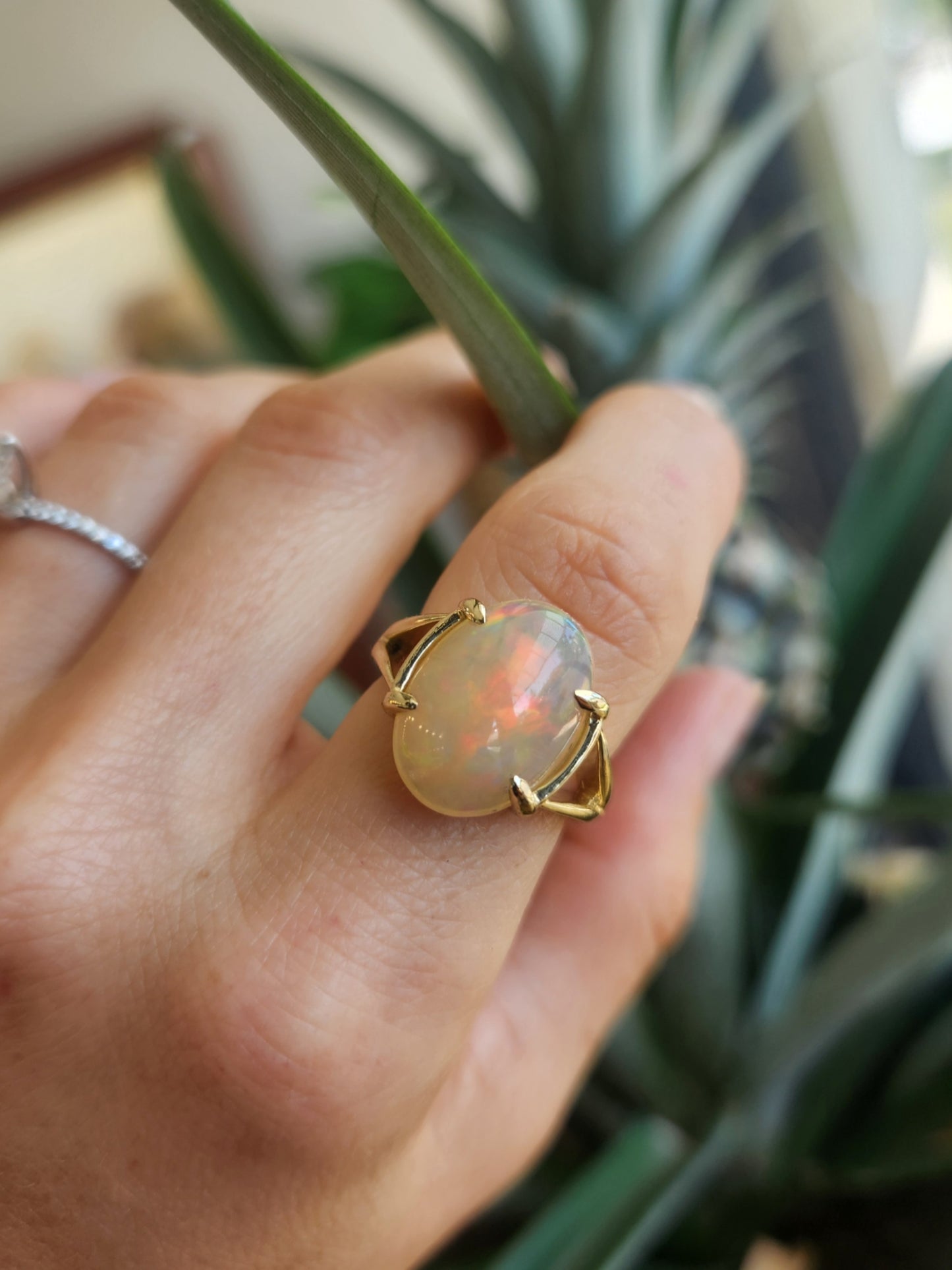 14 Karat Yellow Gold Split Shank Ethiopian Welo Opal Solitaire Ring