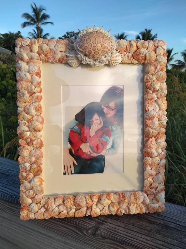 Grotto Style Seashell Encrusted Photo Frame 8 x 10