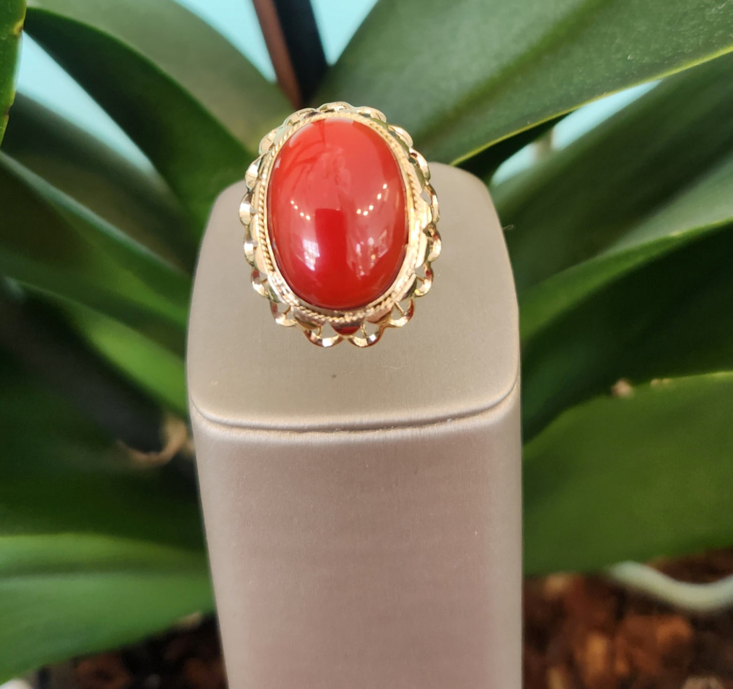 14K yellow gold oval cabachon coral ring with filagree surround