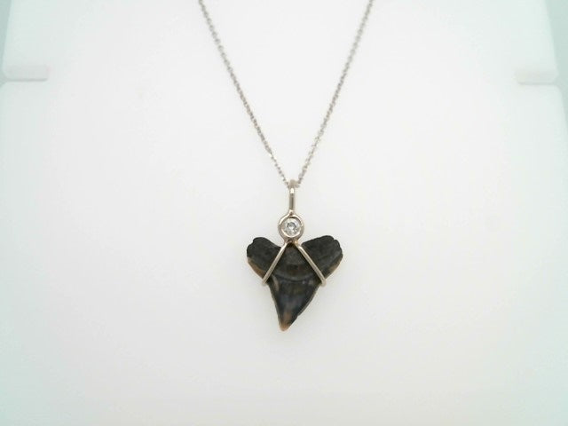14 Karat White Gold Florida Shark's Tooth & Diamond Pendant