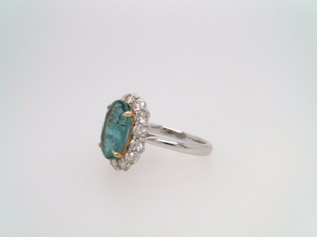 14 Karat White Gold Emerald & Diamond Halo Style Ring