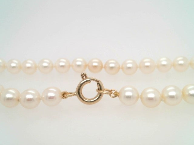 14 Karat Yellow Gold 6.5 Mm Near Round Cream Cultured Akoya Pearl Necklace, 18"