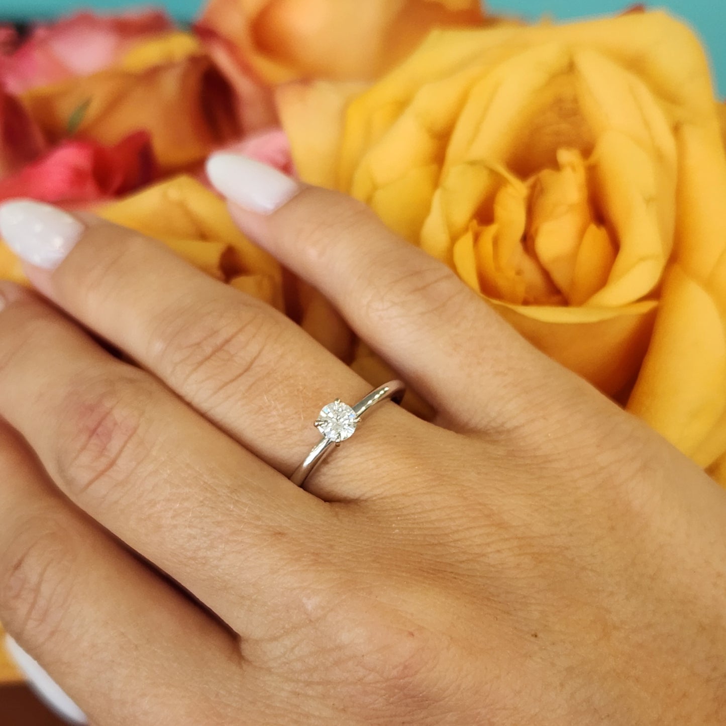 14 Karat White Gold 4 Prong Set Round Brilliant Diamond Solitaire Ring