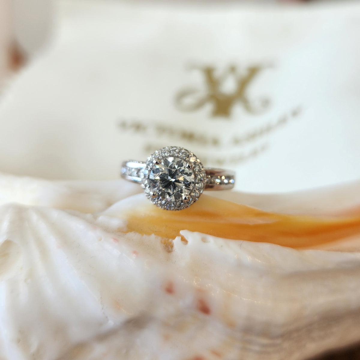 14 Karat White Gold Halo Style Diamond Engagement Ring With Hidden Halo