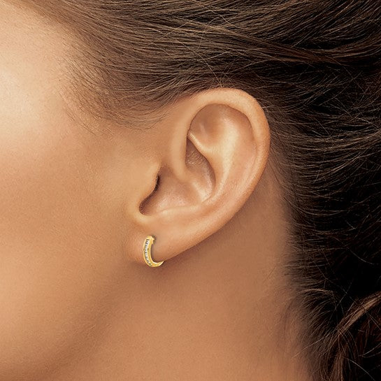 14 Karat Yellow Gold Diamond Hoop Earrings