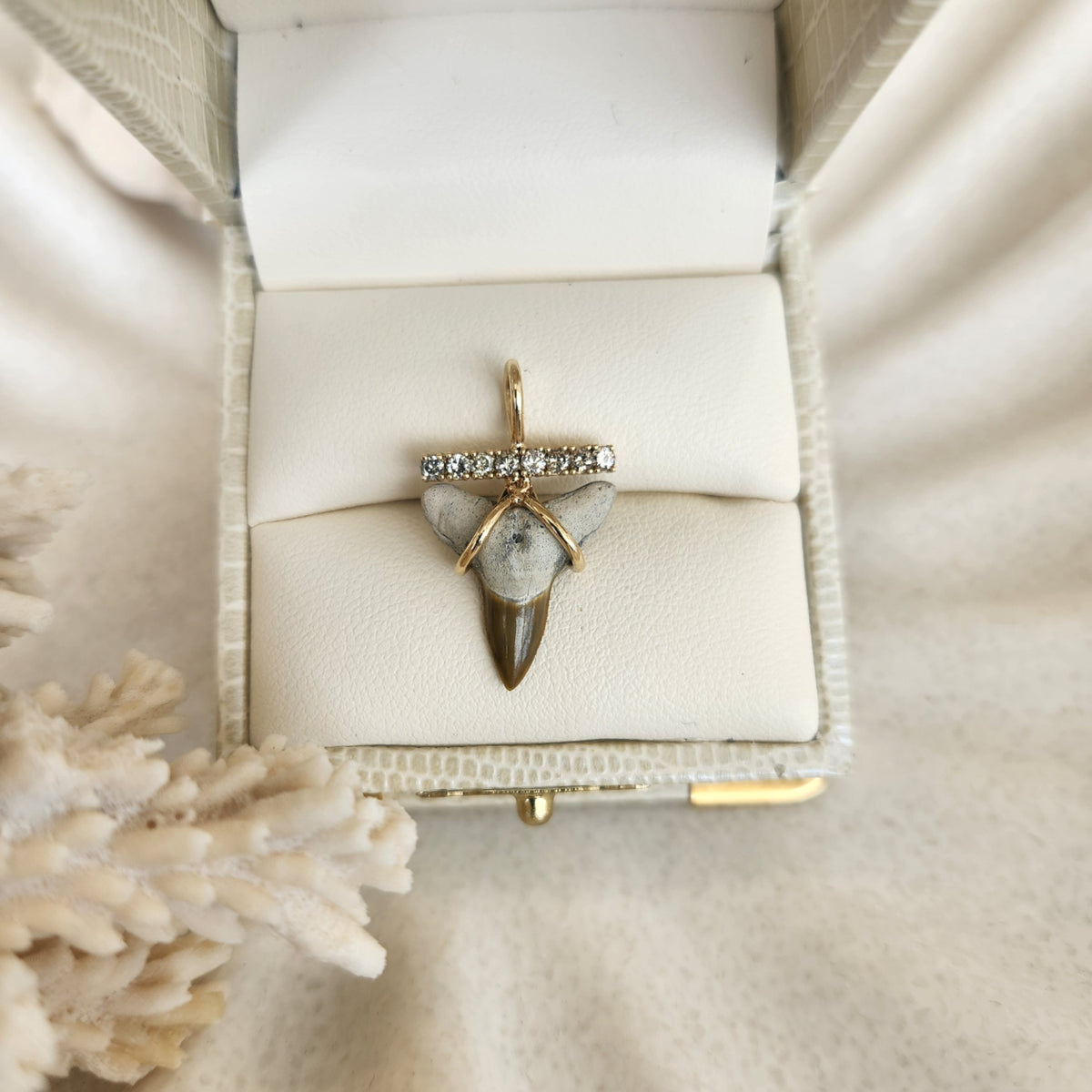 14 Karat Yellow Gold Light Brown Shark's Tooth & Champagne Diamond Pendant