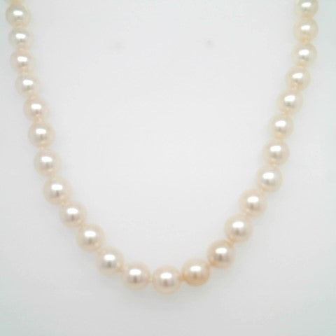 14 Karat Yellow Gold 6.5 Mm Near Round Cream Cultured Akoya Pearl Necklace, 18"