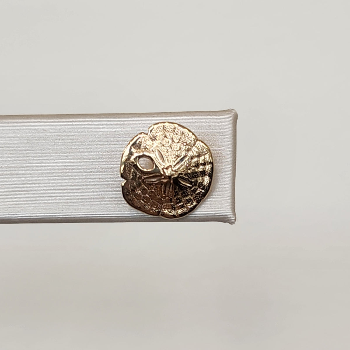 14 Karat Yellow Gold 10 Mm Sand Dollar Stud Earrings