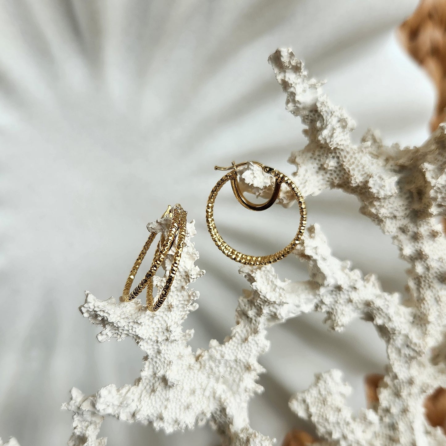 14 Karat Yellow Gold Polished And Textured Double Circle Hoop Earrings