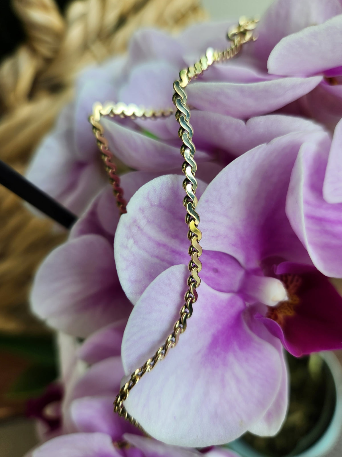 14 Karat Yellow Gold 2.5 Mm S-Shaped Fancy Link Chain With Spring Ring Clasp, 9"
