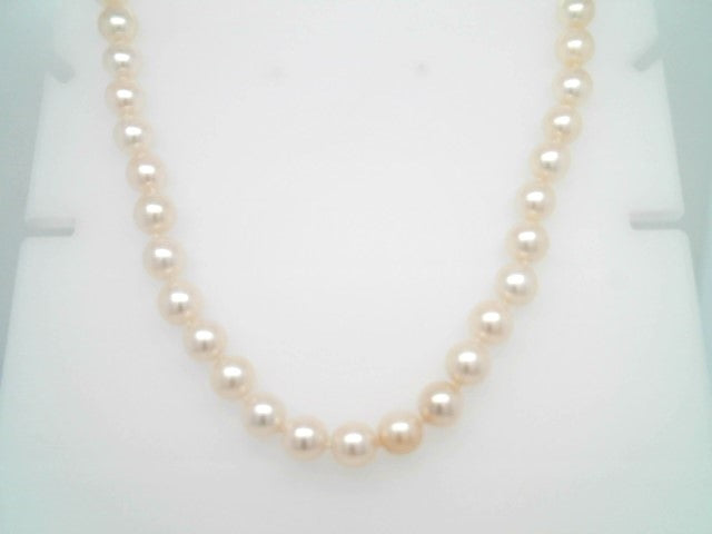 14 Karat Yellow Gold 6.5 Mm Near Round Cream Cultured Akoya Pearl Necklace, 18"