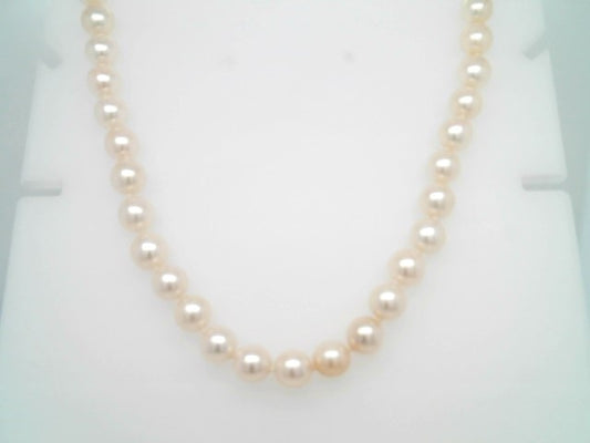 14 Karat Yellow Gold 6.5 Mm Near Round Cream Cultured Akoya Pearl Necklace, 18"