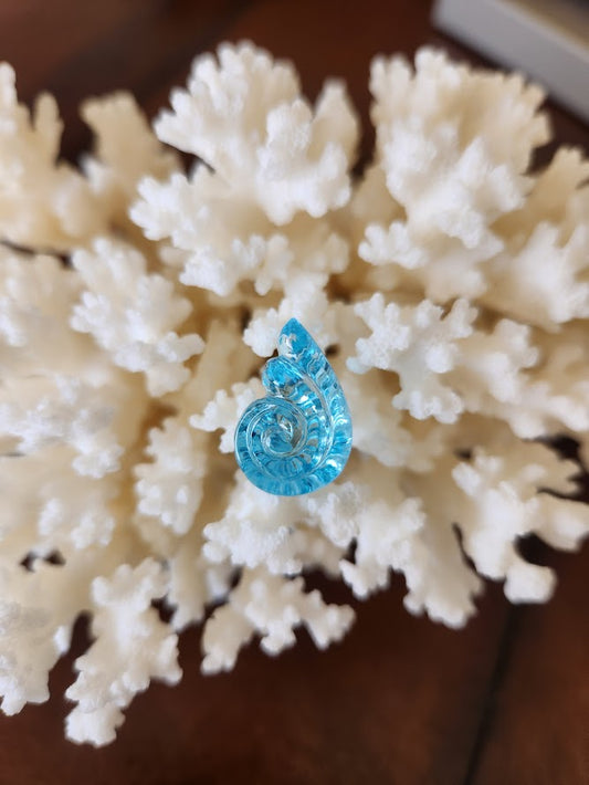 Fantasy Cut Nautilus Shell Swiss Blue Topaz
23.73 Ctw 
22.75 x 14.75