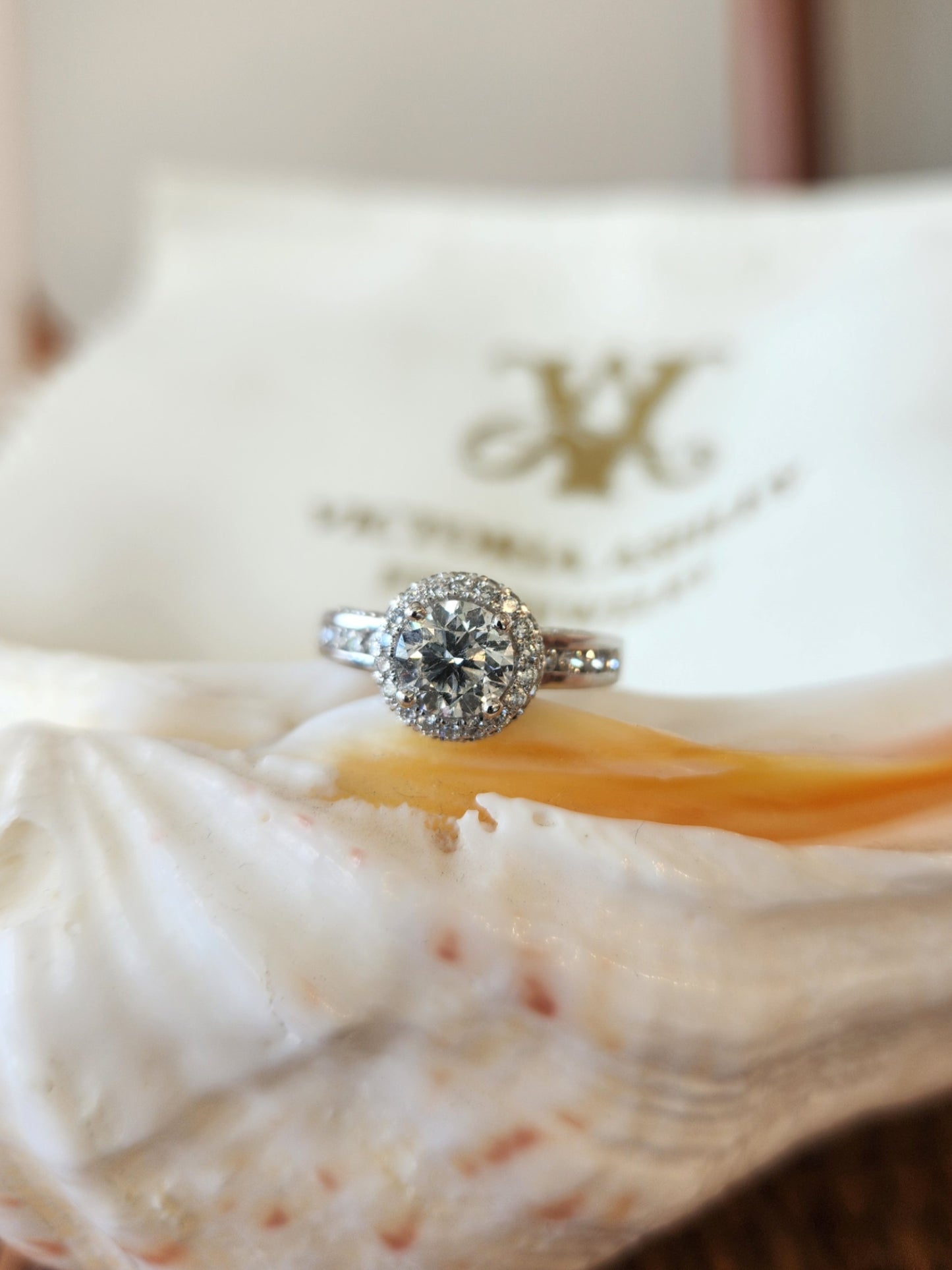 14 Karat White Gold Halo Style Diamond Engagement Ring With Hidden Halo