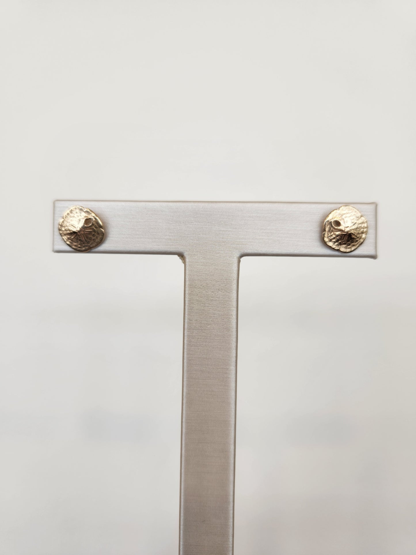 14 Karat Yellow Gold 10 Mm Sand Dollar Stud Earrings