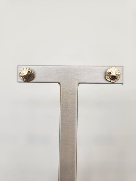 14 Karat Yellow Gold 10 Mm Sand Dollar Stud Earrings