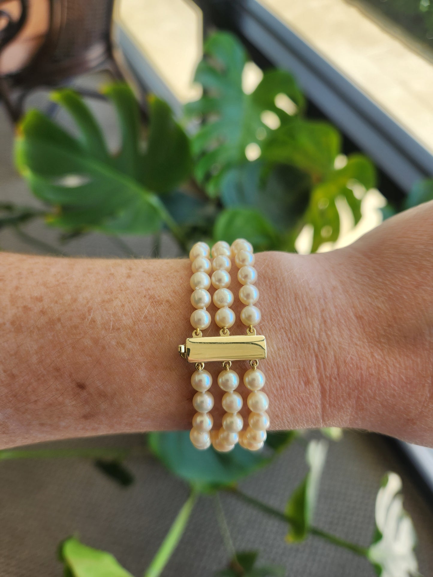 14 Karat Yellow Gold Triple Strand Akoya Cultured Pearl Bracelet, 7"