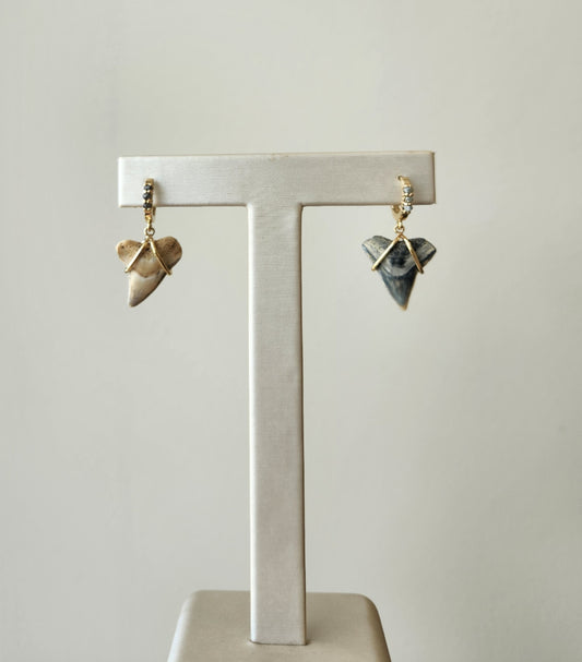 14 Karat Yellow Gold Shark's Tooth & Rough Diamond Earrings