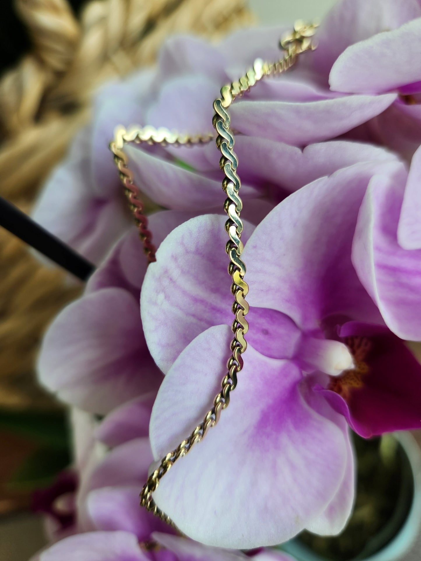 14 Karat Yellow Gold 2.5 Mm S-Shaped Fancy Link Chain With Spring Ring Clasp, 9"