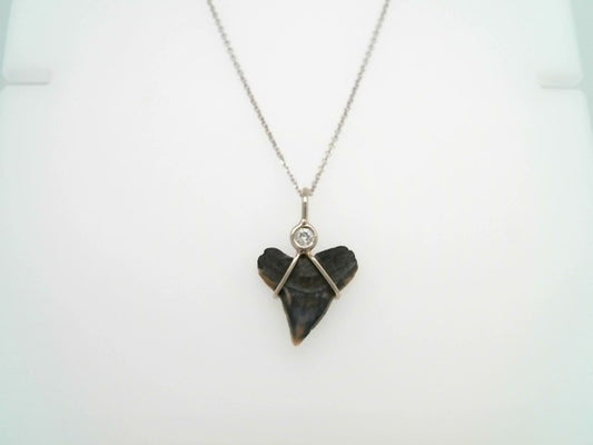 14 Karat White Gold Florida Shark's Tooth & Diamond Pendant